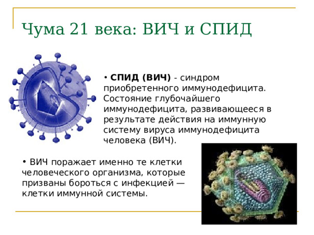 Чума 21 века: ВИЧ и СПИД   СПИД (ВИЧ) - синдром приобретенного иммунодефицита. Состояние глубочайшего иммунодефицита, развивающееся в результате действия на иммунную систему вируса иммунодефицита человека (ВИЧ).  ВИЧ поражает именно те клетки человеческого организма, которые призваны бороться с инфекцией — клетки иммунной системы. 