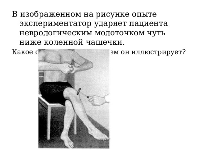 В изображенном на рисунке опыте экспериментатор ударяет пациента неврологическим молоточком чуть ниже коленной чашечки. Какое свойство живых систем он иллюстрирует? 