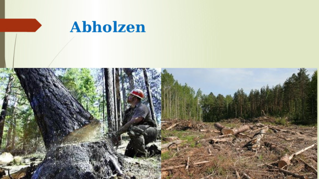 Abholzen 
