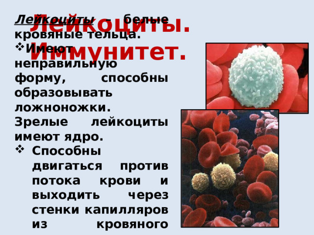 Лейкоциты. Иммунитет. Лейкоциты  – белые кровяные тельца. Имеют неправильную форму, способны образовывать ложноножки. Зрелые лейкоциты имеют ядро. Способны двигаться против потока крови и выходить через стенки капилляров из кровяного русла. 
