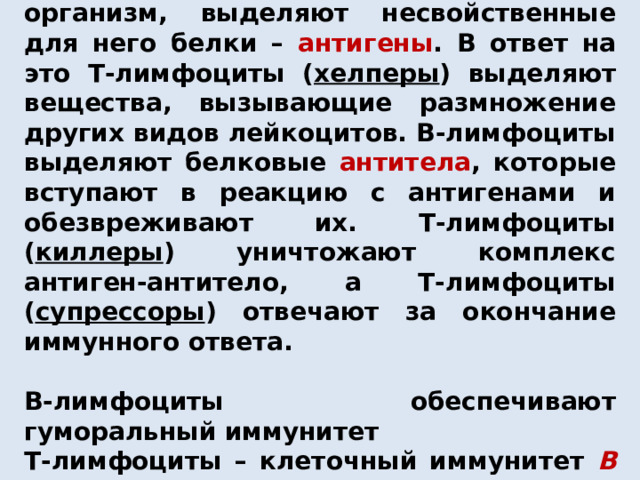 Иммунный ответ организма  Возбудители заболевания, попадая в организм, выделяют несвойственные для него белки – антигены . В ответ на это Т-лимфоциты ( хелперы ) выделяют вещества, вызывающие размножение других видов лейкоцитов. В-лимфоциты выделяют белковые антитела , которые вступают в реакцию с антигенами и обезвреживают их. Т-лимфоциты ( киллеры ) уничтожают комплекс антиген-антитело, а Т-лимфоциты ( супрессоры ) отвечают за окончание иммунного ответа.  В-лимфоциты обеспечивают гуморальный иммунитет Т-лимфоциты – клеточный иммунитет В организме человека вирус ВИЧ уничтожает Т-хелперы.  