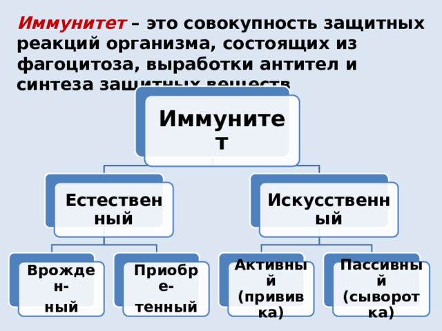 Иммунитет – это совокупность защитных реакций организма, состоящих из фагоцитоза, выработки антител и синтеза защитных веществ Иммунитет Естественный Искусственный Приобре- Активный (прививка) Врожден- Пассивный (сыворотка) тенный ный 