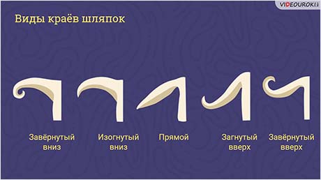 Изучение строения плодовых тел шляпочных грибов. Изучение строения плесневого гриба мукора. Выращивание плесени на хлебе. Строение дрожжей