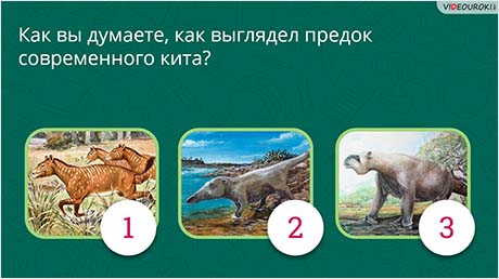 История Земли