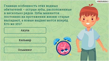 Водный мир