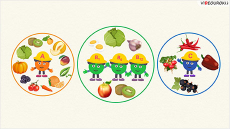 Почему нужно есть много овощей и фруктов?