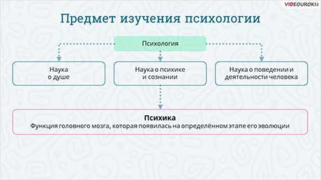 Что такое психика человека и как она устроена