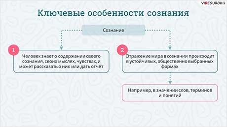 Сознание и его психологические характеристики