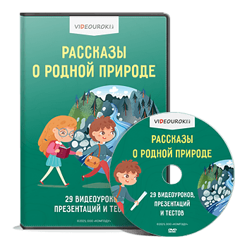 Видео диск
