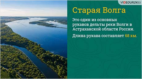 В дельте Волги