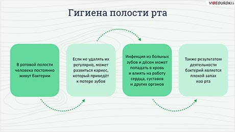 Здоровье и гигиена. Культура внешнего вида