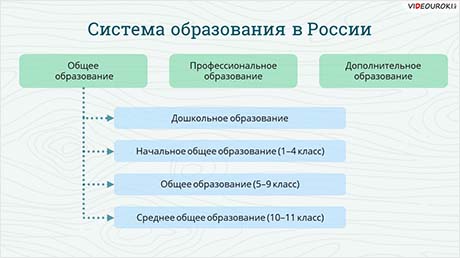 Образование и культура