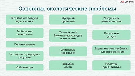 Экологические проблемы и их решения