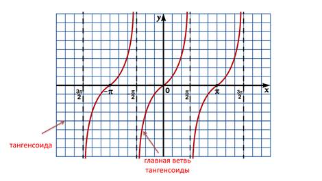 Рисунок тангенса. Построение тангенсоиды. График тангенса. График функции тангенс х. График тангенса по клеточкам.