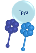 Объединяет все клеточные структуры и обеспечивает их взаимодействие что это. Смотреть фото Объединяет все клеточные структуры и обеспечивает их взаимодействие что это. Смотреть картинку Объединяет все клеточные структуры и обеспечивает их взаимодействие что это. Картинка про Объединяет все клеточные структуры и обеспечивает их взаимодействие что это. Фото Объединяет все клеточные структуры и обеспечивает их взаимодействие что это