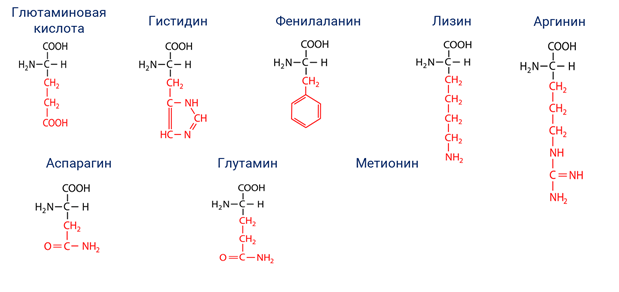 Белок фенилаланин. Глутамин лизин Валин. Гистидин лизин формулы. Аминокислота аргинин и гистидин. Фенилаланин глутамин.
