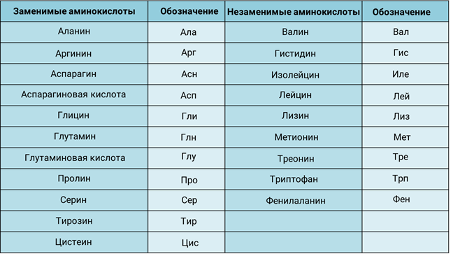 Краткое название. 20 Аминокислот заменимые и незаменимые. Заменимые и незаменимые аминокислоты таблица. Перечень заменимых и незаменимых аминокислот. 20 Аминокислот заменимые и незаменимые таблица.