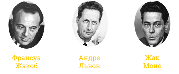 Жак моно. Франсуа Жакоб. Андре Мишель Львов, Франсуа Жакоб и Жак Люсьен моно. Андре Львов французский микробиолог. Андре Мишель Львов.