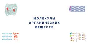 какие уровни организации живой материи вы знаете. Смотреть фото какие уровни организации живой материи вы знаете. Смотреть картинку какие уровни организации живой материи вы знаете. Картинка про какие уровни организации живой материи вы знаете. Фото какие уровни организации живой материи вы знаете