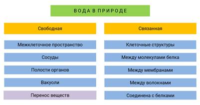 Что такое вода биология 10 класс. Смотреть фото Что такое вода биология 10 класс. Смотреть картинку Что такое вода биология 10 класс. Картинка про Что такое вода биология 10 класс. Фото Что такое вода биология 10 класс