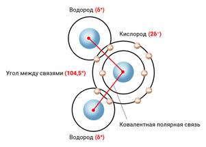 Что такое вода биология 10 класс. Смотреть фото Что такое вода биология 10 класс. Смотреть картинку Что такое вода биология 10 класс. Картинка про Что такое вода биология 10 класс. Фото Что такое вода биология 10 класс
