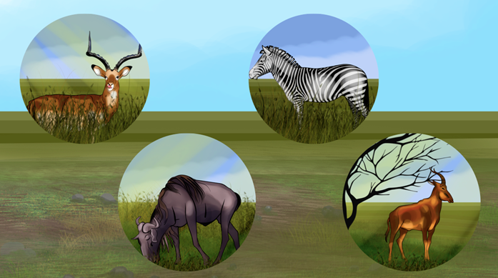 Экологическая ниша зебры