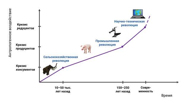 Кризис консументов. Кризисы редуцентов и продуцентов. Экологический кризис редуцентов. Кризис консументов продуцентов редуцентов.