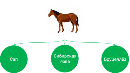 5 класс биология роль бактерий в природе и жизни человека. Смотреть фото 5 класс биология роль бактерий в природе и жизни человека. Смотреть картинку 5 класс биология роль бактерий в природе и жизни человека. Картинка про 5 класс биология роль бактерий в природе и жизни человека. Фото 5 класс биология роль бактерий в природе и жизни человека