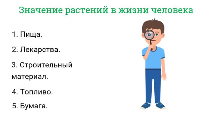 Что изучает наука ботаника назовите некоторые разделы ботаники 5 класс кратко