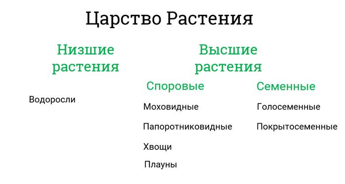 Что изучает наука ботаника назовите некоторые разделы ботаники 5 класс кратко