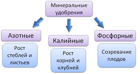 Придумайте и нарисуйте схему доказывающую что минеральное питание животных и человека зависит от