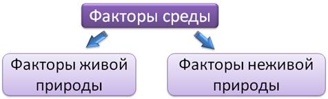 Что относится к факторам живой природы