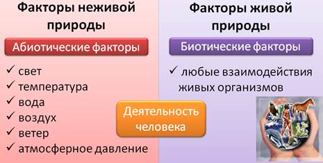 Что относится к факторам живой природы