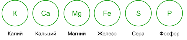 Азот фосфор сера. Азот, фосфор, сера, калий, кальций, магний. Фосфор и сера. Магний и сера. Сера, фосфор, железо.