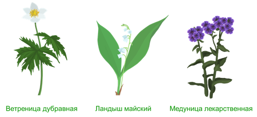 совместная жизнь организмов в природном сообществе