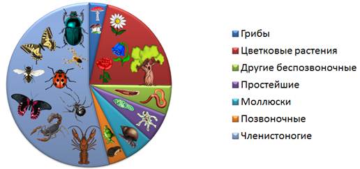у членистоногих тело покрыто хитинизированной кутикулой какое значение имеет такой покров тела. Смотреть фото у членистоногих тело покрыто хитинизированной кутикулой какое значение имеет такой покров тела. Смотреть картинку у членистоногих тело покрыто хитинизированной кутикулой какое значение имеет такой покров тела. Картинка про у членистоногих тело покрыто хитинизированной кутикулой какое значение имеет такой покров тела. Фото у членистоногих тело покрыто хитинизированной кутикулой какое значение имеет такой покров тела