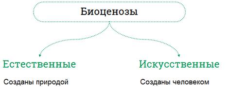 чем определяется устойчивость биоценозов. Смотреть фото чем определяется устойчивость биоценозов. Смотреть картинку чем определяется устойчивость биоценозов. Картинка про чем определяется устойчивость биоценозов. Фото чем определяется устойчивость биоценозов