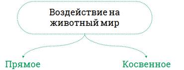 что такое косвенное влияние человека на животных. Смотреть фото что такое косвенное влияние человека на животных. Смотреть картинку что такое косвенное влияние человека на животных. Картинка про что такое косвенное влияние человека на животных. Фото что такое косвенное влияние человека на животных