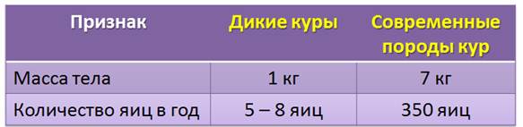 роль птиц в природе и в жизни человека