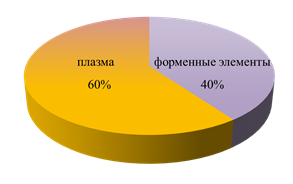 Что такое внутренняя среда организма кратко. Смотреть фото Что такое внутренняя среда организма кратко. Смотреть картинку Что такое внутренняя среда организма кратко. Картинка про Что такое внутренняя среда организма кратко. Фото Что такое внутренняя среда организма кратко