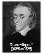 Высказал мысль что организмы развиваются по законам природы. image007. Высказал мысль что организмы развиваются по законам природы фото. Высказал мысль что организмы развиваются по законам природы-image007. картинка Высказал мысль что организмы развиваются по законам природы. картинка image007.