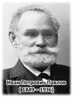Высказал мысль что организмы развиваются по законам природы. image010. Высказал мысль что организмы развиваются по законам природы фото. Высказал мысль что организмы развиваются по законам природы-image010. картинка Высказал мысль что организмы развиваются по законам природы. картинка image010.