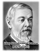 Высказал мысль что организмы развиваются по законам природы. image011. Высказал мысль что организмы развиваются по законам природы фото. Высказал мысль что организмы развиваются по законам природы-image011. картинка Высказал мысль что организмы развиваются по законам природы. картинка image011.