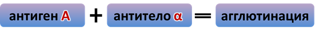 что такое тканевая совместимость. Смотреть фото что такое тканевая совместимость. Смотреть картинку что такое тканевая совместимость. Картинка про что такое тканевая совместимость. Фото что такое тканевая совместимость