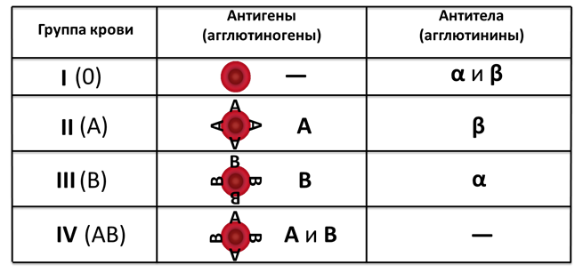 Схема переливания групп крови