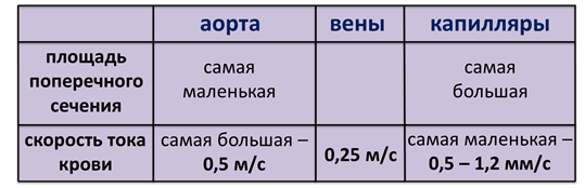 Артериальное давление крови движение крови по сосудам 8 класс