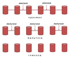 Что изучает молекулярный уровень