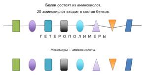 Что изучает молекулярный уровень