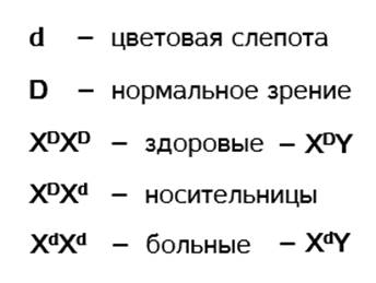 ген куриной слепоты сцеплен с полом