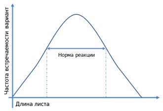 чем определяется широта нормы реакции. Смотреть фото чем определяется широта нормы реакции. Смотреть картинку чем определяется широта нормы реакции. Картинка про чем определяется широта нормы реакции. Фото чем определяется широта нормы реакции